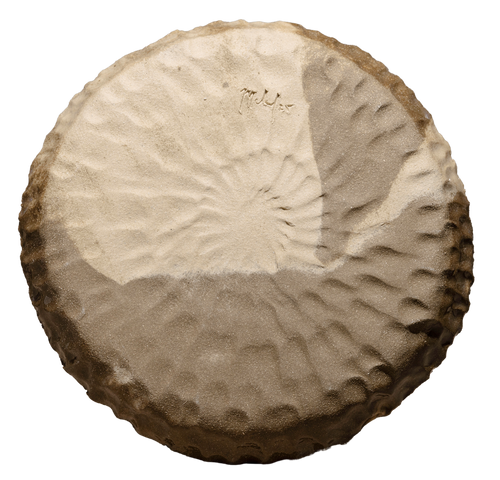 P 0342